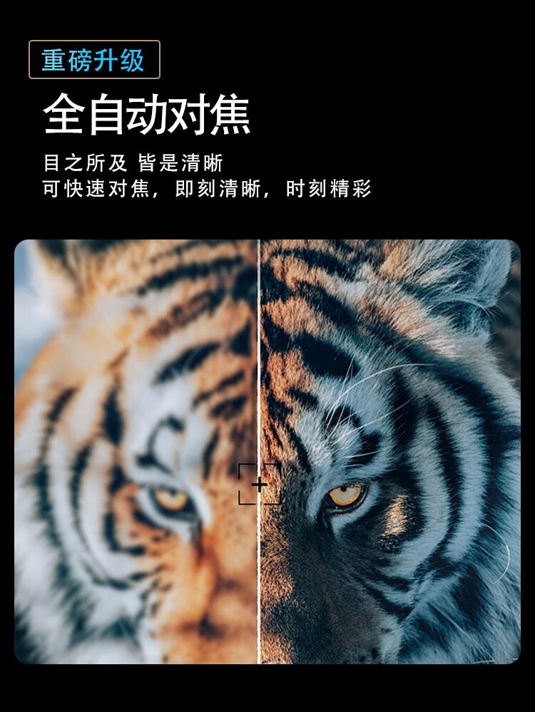 20231027044242703.jpg